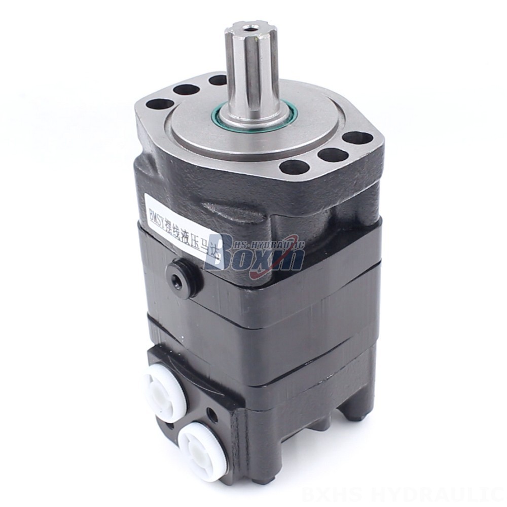 Partnership Opportunities: BMSY Cycloid Hydraulic Motor (100cc/r 50Lpm) main image